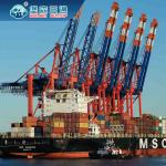 China International Freight Forwarder Logistics Company Sea Shipping To Europe /
