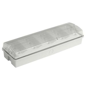 Wholesale Maintained 220V Wall Surface Mounted Emergency Light For Commercial Buildings from china suppliers