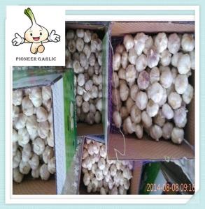 Wholesale Natural White Fresh Garlic For Sale China Garlic With High Quality from china suppliers
