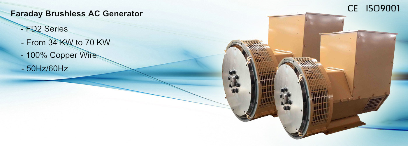 FD2B 40KW AC Single Phase or AC Three Phase Output Type dynamo generators for sale