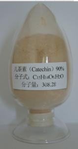 Wholesale 100% natural Crude Epicatechin 90% from green tea extract from china suppliers