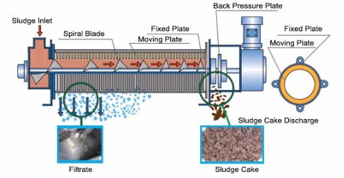 Customized Voltage Compact Screw Press for Low Noise Purification of Activated Sludge
