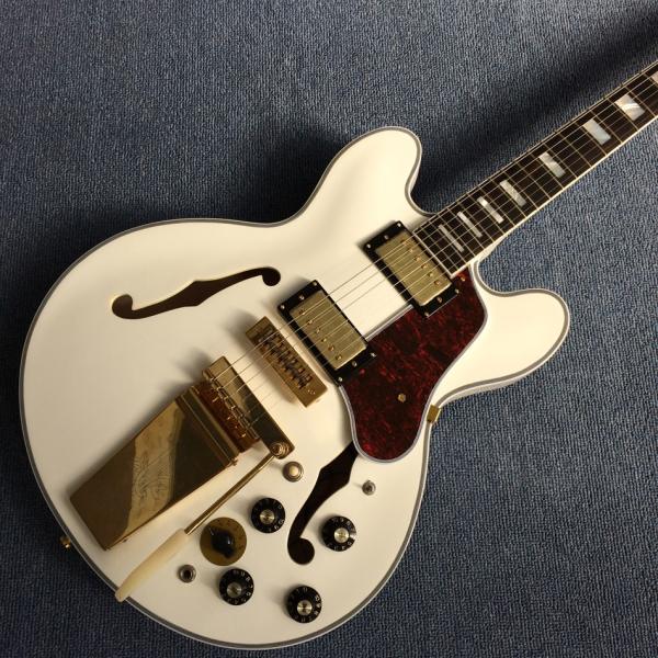 Hollow body jazz electric guitar, Double F holes,Ebony Fingerboard,Tremolo