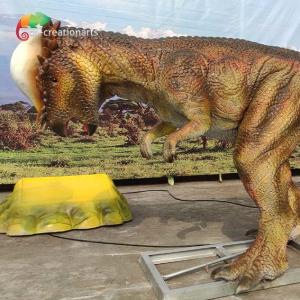 Wholesale Theme Park 3M Animatronic Dinsoaur Life Size Pachycephalosaurus For Amusement Park from china suppliers