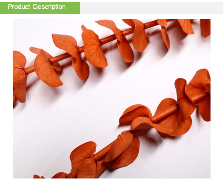 OEM Service Preserved Foliage Leaves Durable For Home Wall Decoration