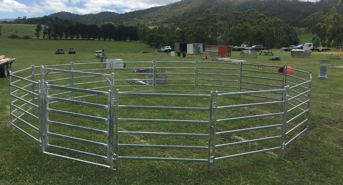 1.8 x 2.1MHeavy Duty Cow Panel Livestock fence panels 6 Oval 2mm thick M