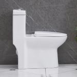 Siphonic One Piece Water Closet Toilet Dual Flush Sanitary Ware