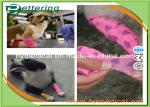 Coloured Non Woven Elastic Cohesive Bandages For Horses Breathable Latex Free