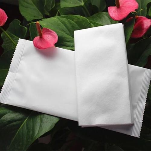 Plain High Water Absorption Spunlace Non Wovens 30g-80g/M²