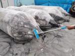 Hot Selling Auxiliary Boat Launching and Launching Inflatable Marine Airbags