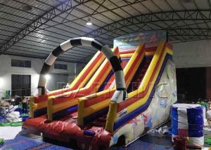 Wholesale 0.55mm Pvc Material Giant Kids / Adult Inflatable Slide Commercial Fire Resistant from china suppliers