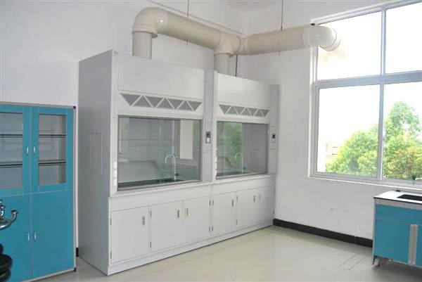 All Cold Rolled Steel Lab Fume Cupboard , Portable Chemical Fume Hood With