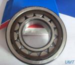 C4 C5 V3 Open FAG Roller Bearing Japan Stainless Steel Bearing NU310ECP