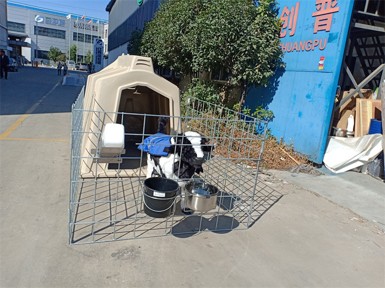 PE Material House Isolation Room Calf Shelters Plastic Calf Hutch 2200 * 1500 * 1550 mm