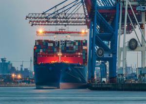 Wholesale Daily Oceania Freight , Door To Door Overseas Shipping From China from china suppliers