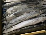 Cololabis Saira High Protein Whole Round Sea Frozen Pacific Saury #4