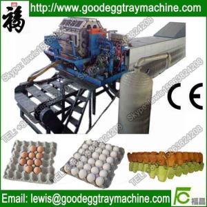 China Paper egg tray or egg box making machine on sale