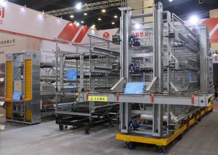 Eco - Friendly Automatic Egg Collection System Low Egg Breaking Rate