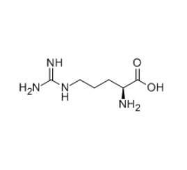 Wholesale Biotech Grade L-Arginine Powder CAS 74-79-3 99% Purity 500g/Pk from china suppliers
