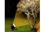LED projection landscape light tree light outdoor spot light lawn waterproof