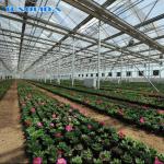 Polyethylene Film Multi Span Greenhouse 100 Micron 200 Micron Multi Span