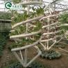 Buy cheap PO Film Double Layer Hydroponic Container for Superior Plant Growth Results from wholesalers