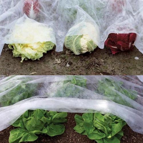 Polypropylene Spunbond Agriculture Non Woven Fabric