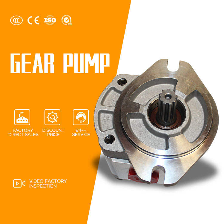 Stainless External Gear Oil Pump for Hot Circulation Oil in Building Material Shops
