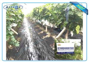 Wholesale Anti UV PP Non Woven Landscape Fabric for Agricultural Area as Ground Coverings or Plant Bags from china suppliers