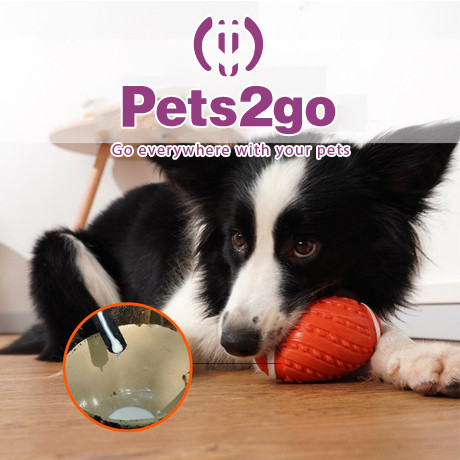 Interactive 112x74mm Latex Cat Playing Ball