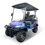 Fashion Meets Performance Colorful Golf Cart Blending Stunning Aesthetics With