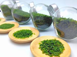 Wholesale Variety Green Seaweed NORI Powder Flakes Ao Nori Ko Food Grade with Crispy Texture For Japanese Food from china suppliers