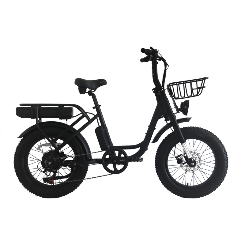 Aluminum Alloy Frame 20 Inch Fat Tire e-Bike with Long-Lasting Lithium Battery