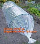 Transparent Low Tunnel Film Perforated For Culture Of Seedling Maturing
