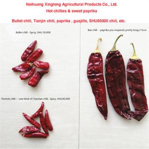 Wholesale Hot Pungent Dried Red Chili Pepper 10-25Kg/Bag 000-20 Scoville from china suppliers