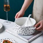 Restaurant Occasion 16 Pcs Porcelain Dinnerware Set For Elegant Dining