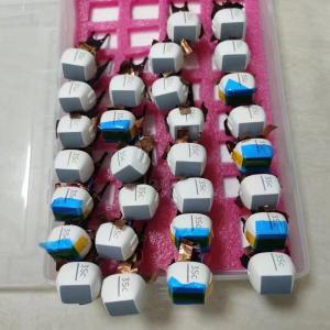 Wholesale Original GE VIVIDS5 Phased Array Ultrasound Probe Crystals 3SC-RS Fully Tested from china suppliers
