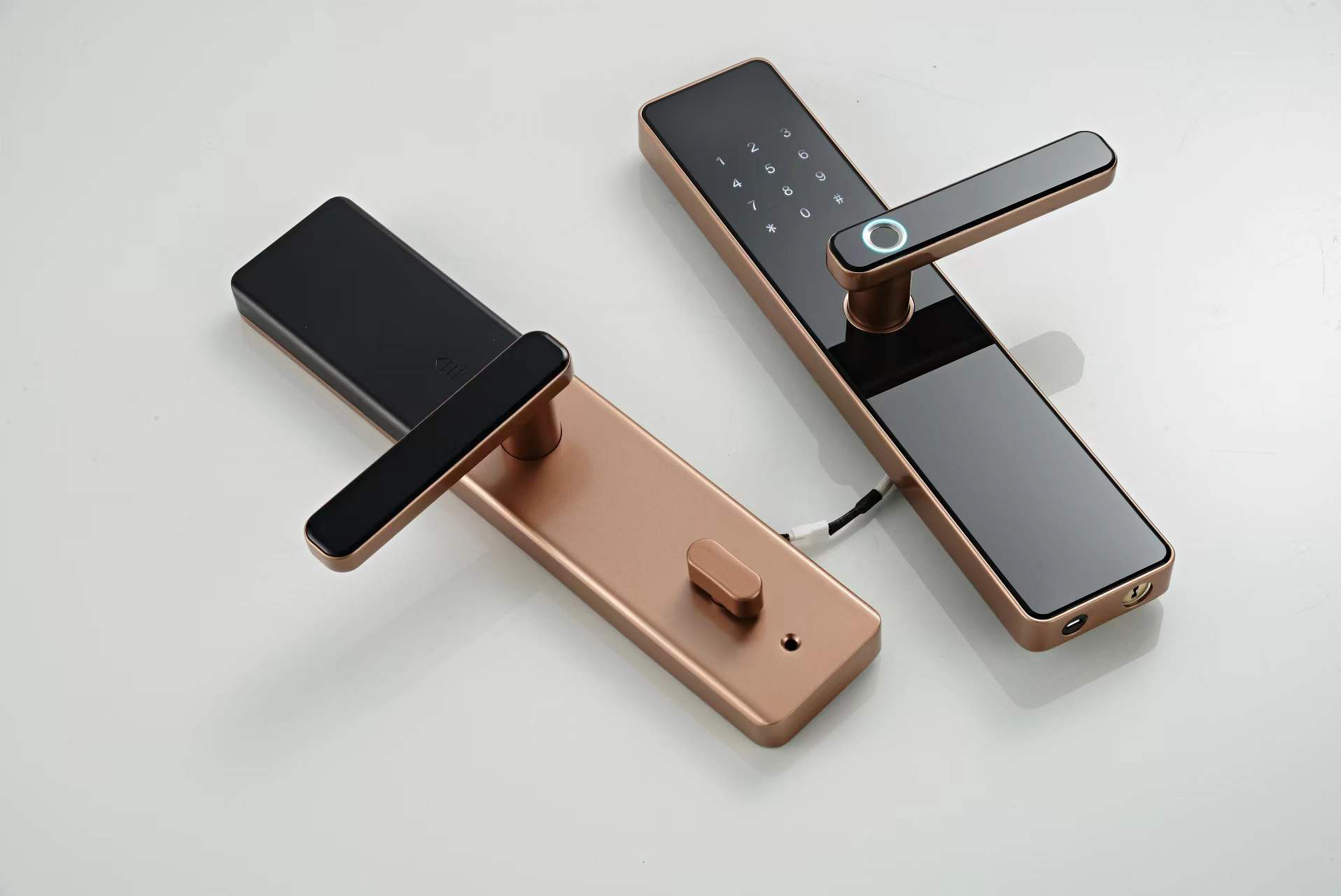 Intelligent Access Control Door Lock S819 with Tuya TTlock and Remote Control