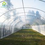 Greenhouse Tunnel Single-span Plastic Film for Agricultural Vegetables and