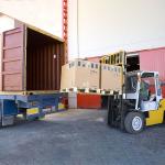 China To Turkey Professional Container Sea Freight Shipping Service Agent