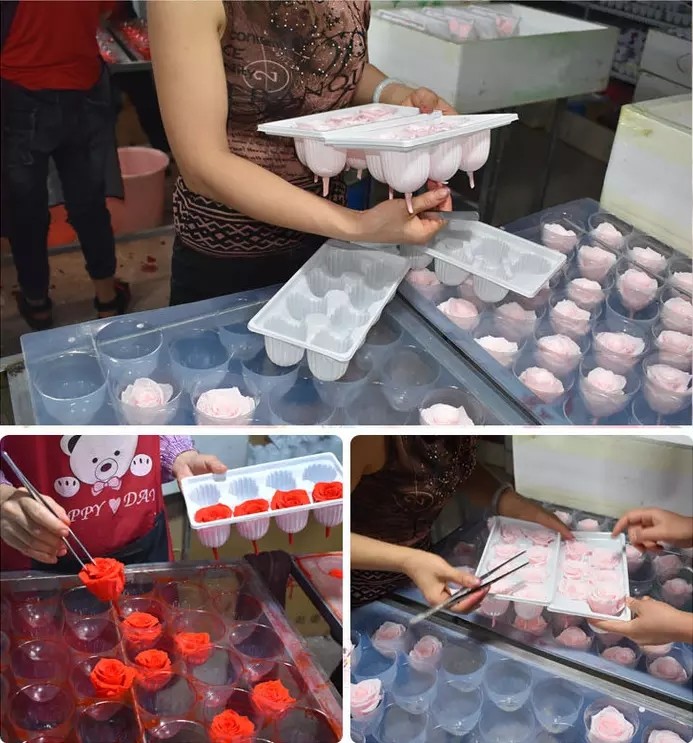 Wholesale fresh preserved roses with long stems Decorative Flowers