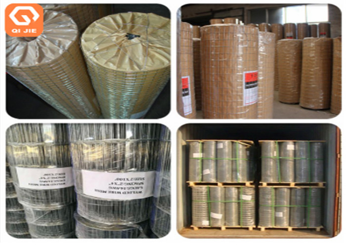 ASTM A740 Standard Pvc Welding Wire Mesh With 25 Foot For Commercial
