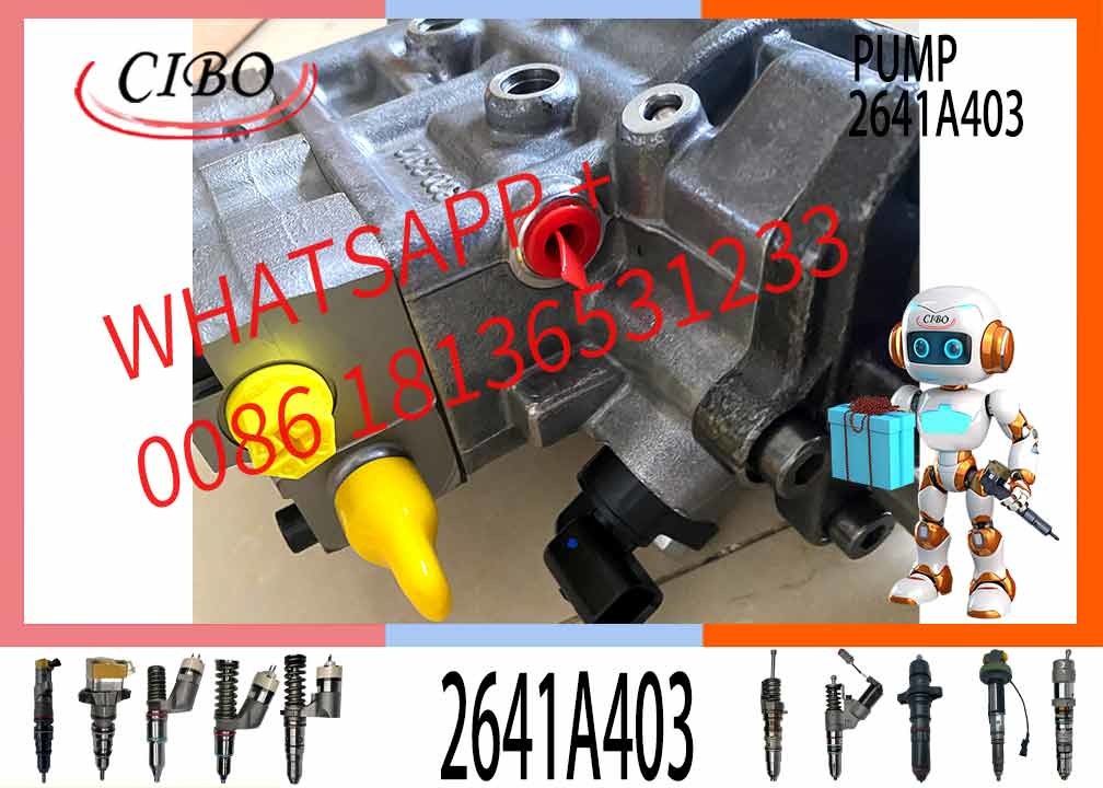Fuel Injection Pump 2641A403 2641A405 10R-7659 3240532 10R7659 For C4.2 C4.4 C6.6