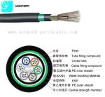 Outdoor 2~288 core Optical Fiber Cable GYTY53 Loose Tube Stranding