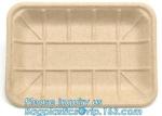 biodegradable food tray for fruit or snack biodegradable corn starch disposable
