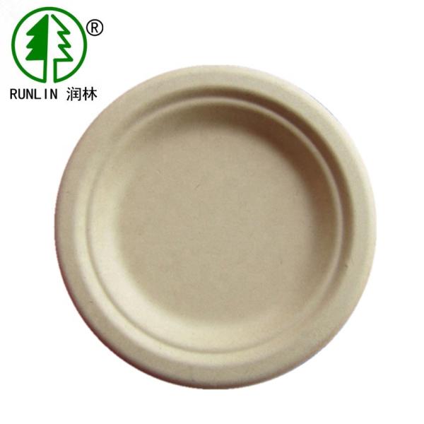 White Hotel Disposable Biodegradable Sugarcane Bagasse Plates Unbleached Plant