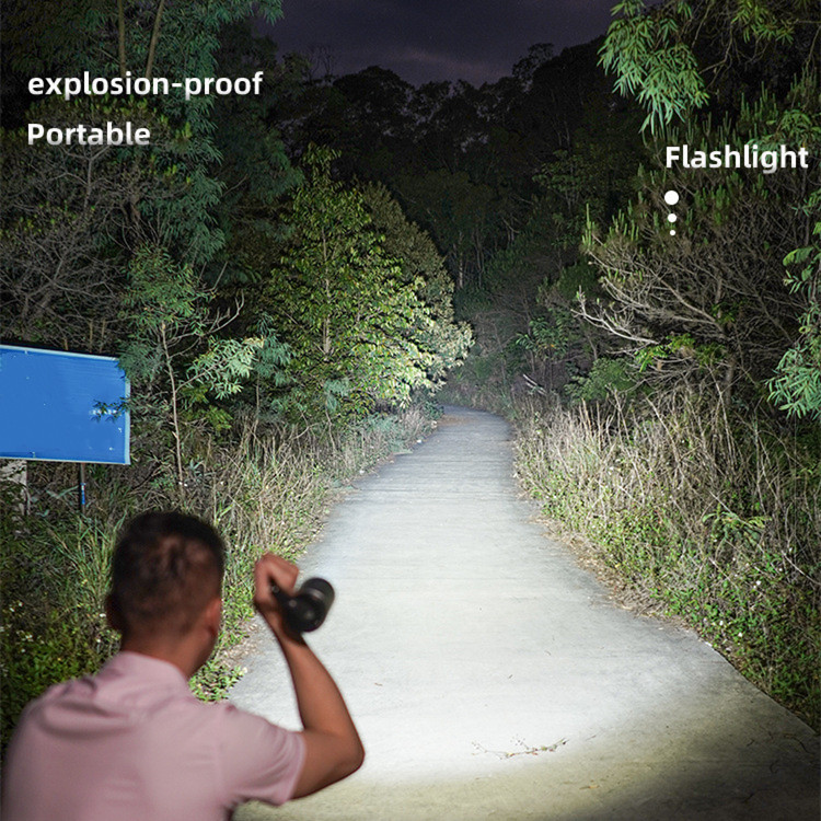 Atex IEC EX Explosion Proof LED Flashlight Hand Lamp Explosion Proof Hand Light