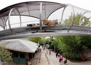 Wholesale Flexible 7x7 Stainless Steel Rope Mesh for Tigers and Big Cats from china suppliers
