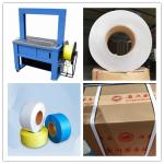 Humanized Operation Box Strapping Machine Desktop 110/220V 50HZ 1PH