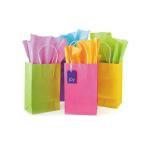 Party Printed Paper Bags / Colored Paper Merchandise Bags Customized Shape